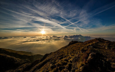 Step Out of Your Comfort Zone to Achieve Your Goals